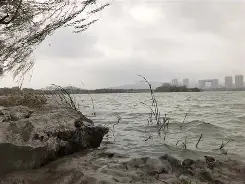 雷竞技官网 -冝売砑{蠡]N兴q?sZf%CZ	鬦[?G的简单介绍